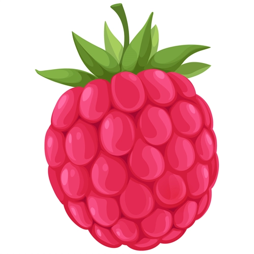 Raspberry Classroom Fruit Transparent Sticker